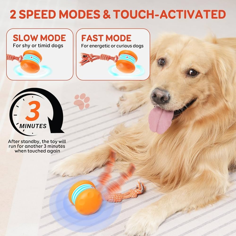 🐶The PetSkitter™ — The Smart Toy Pets Can’t Ignore🐱 - Image 5