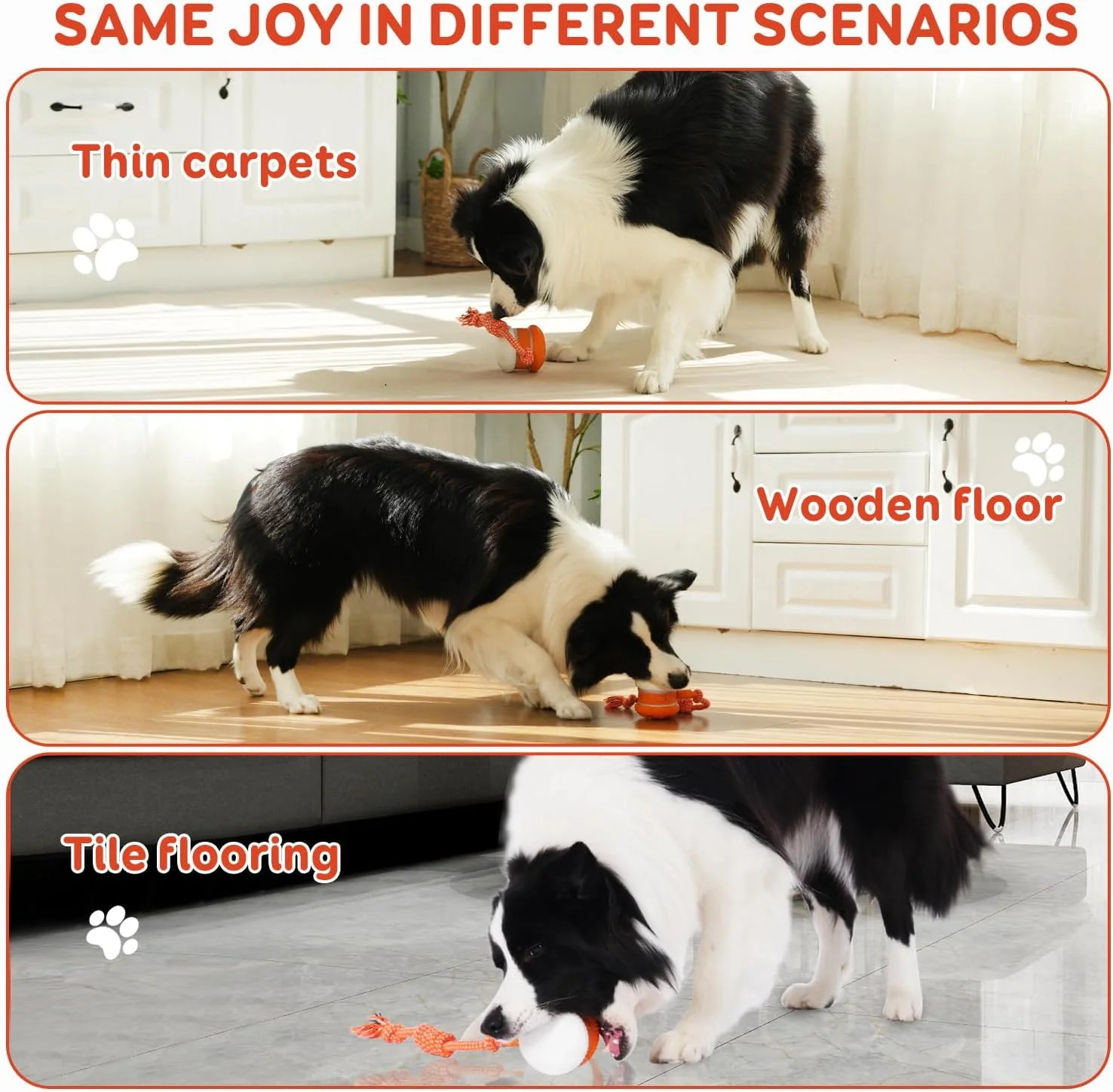 🐶The PetSkitter™ — The Smart Toy Pets Can’t Ignore🐱 - Image 6