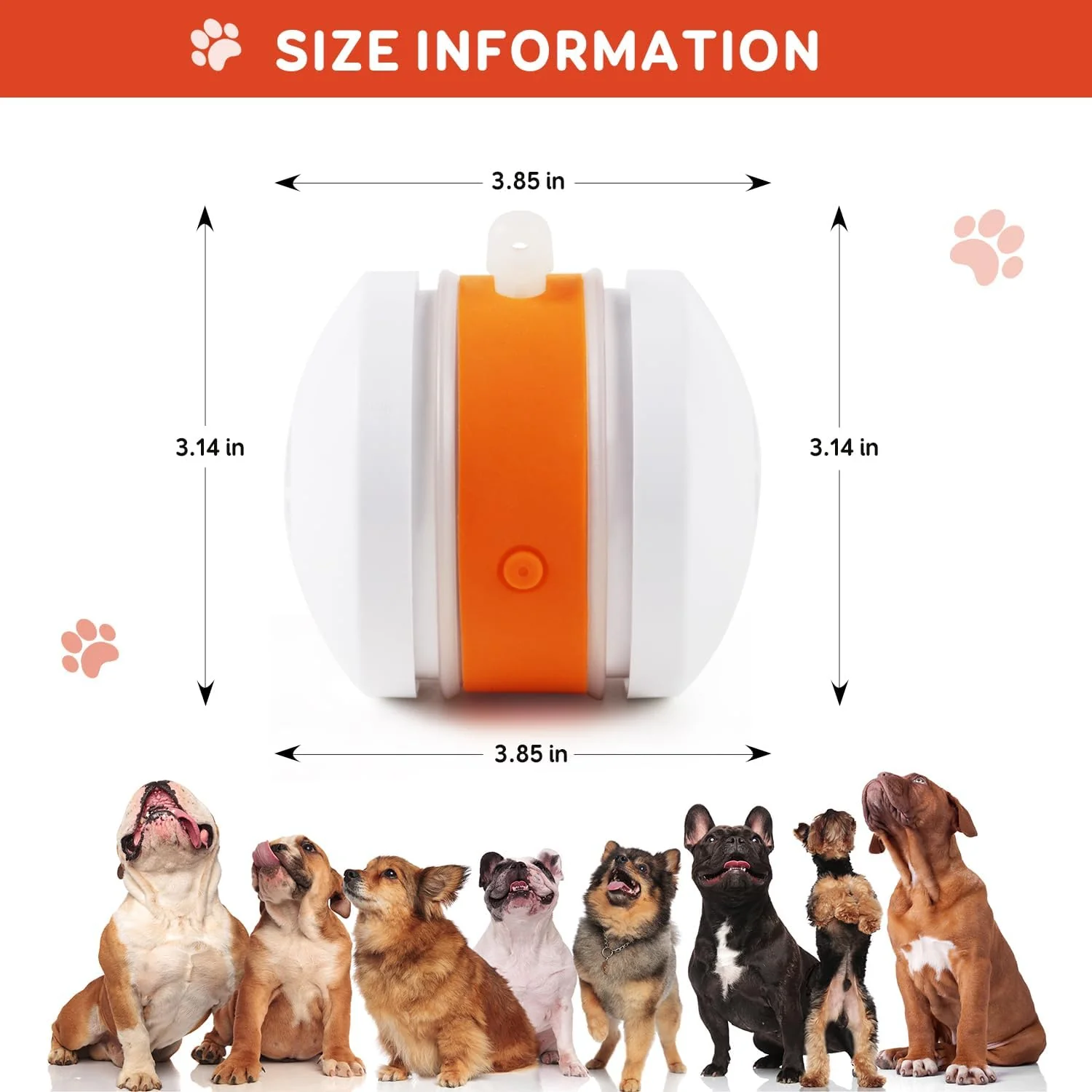🐶The PetSkitter™ — The Smart Toy Pets Can’t Ignore🐱 - Image 8