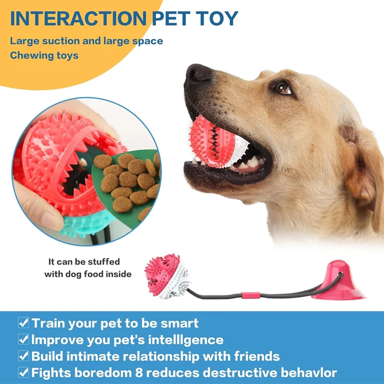 PawGrip - Interactive Chew Ball - Image 3