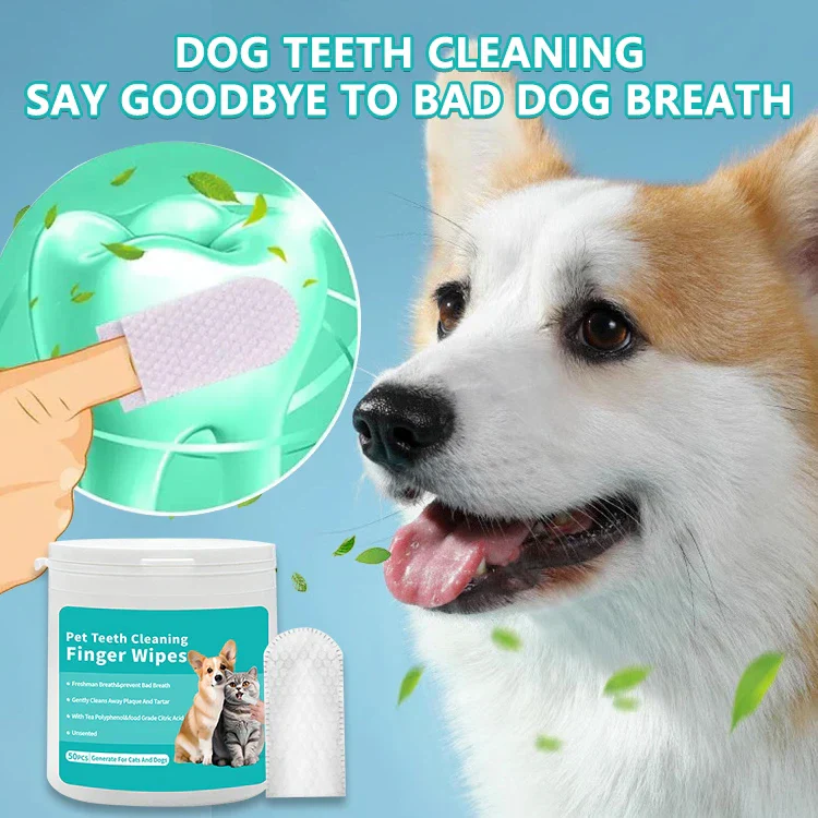 PawPure Dental Finger Wipes – Easy Pet Teeth Cleaning - Image 3
