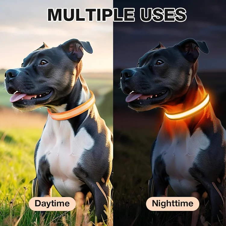 PawSnooze – USB Rechargeable LED Safety Dog Collar - Image 2