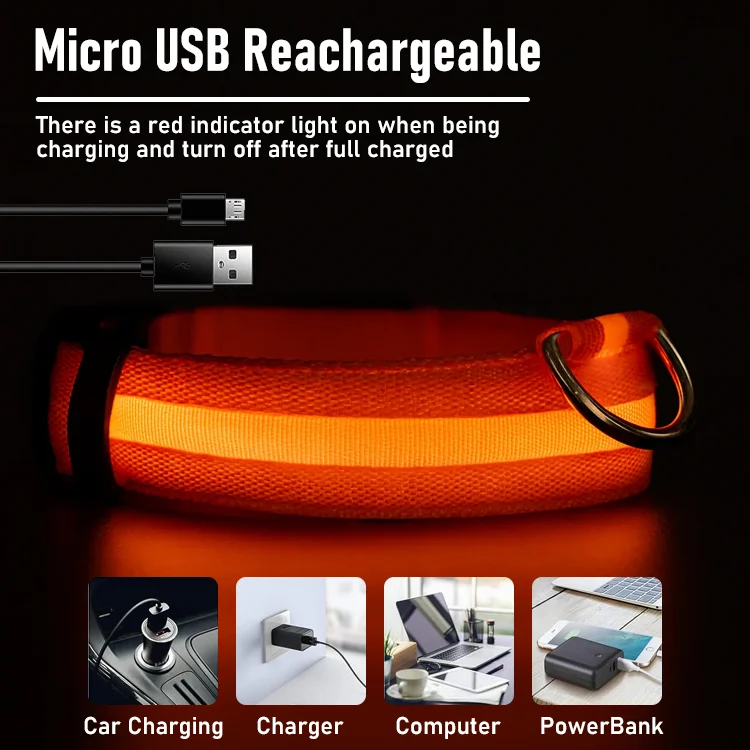 PawSnooze – USB Rechargeable LED Safety Dog Collar - Image 4